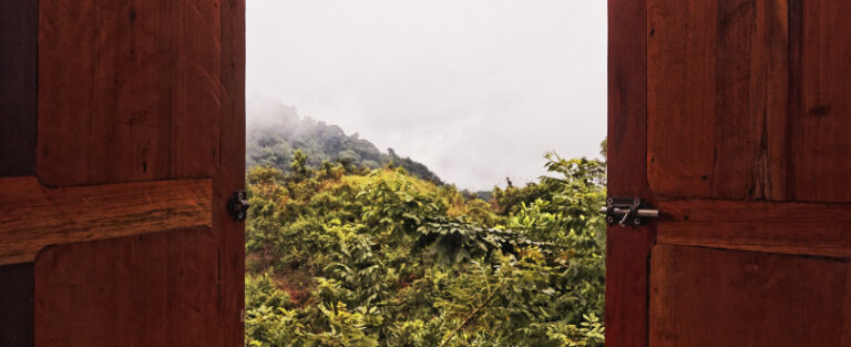 доступи гугл превю