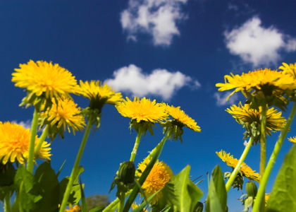 Що таке email-маркетинг превю