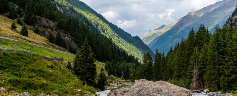 Що ефективніше Google Ads чи