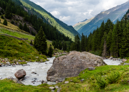 Що ефективніше Google Ads чи