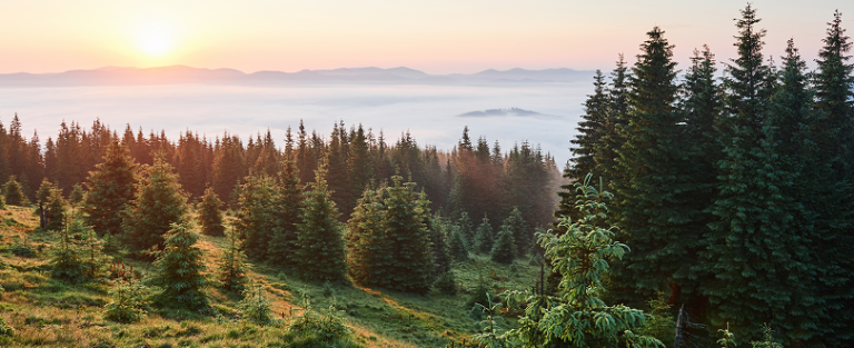Для чого використовувати
