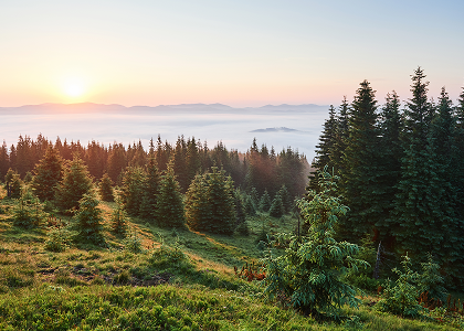 Для чого використовувати