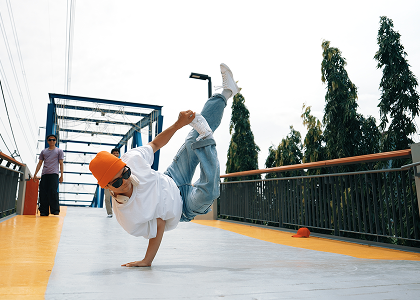 Яке місце займає тріпваєр