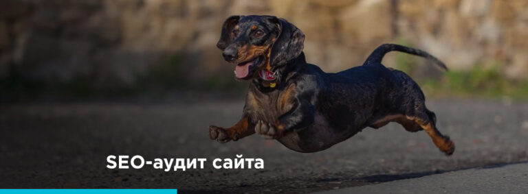 Зачем, кому нужен и как проводить SEO-аудит сайта - картинка 2