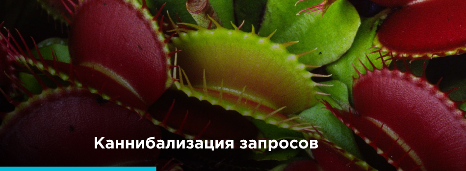 Каннибализация запросов: как найти и предотвратить