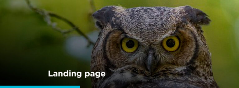 Як користуватися цільовими сторінками, щоб вони приносили конверсії? - картинка 2