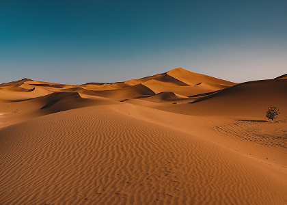 ROI, ROMI, ROAS – що позначають