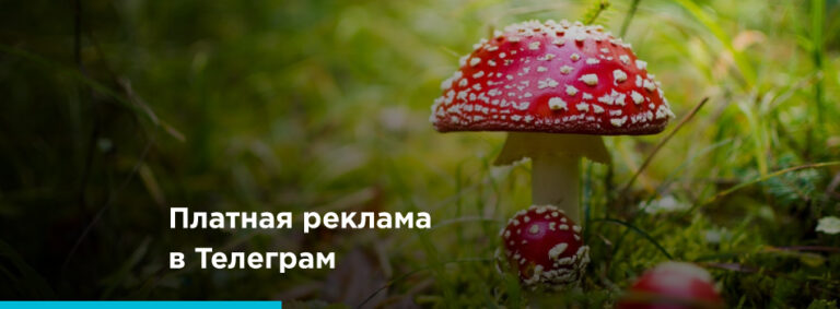 Платное продвижение в Телеграм - картинка 2