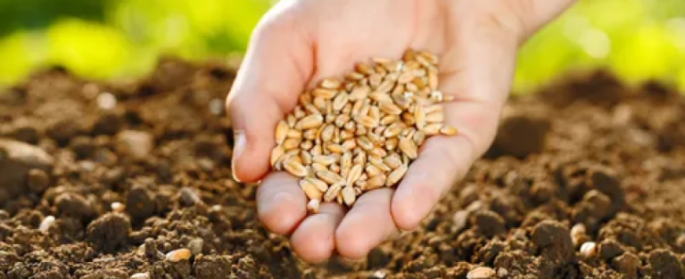 Контент-маркетинг с 24.02.2022