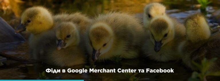 Правила перетворення фідів в Google Merchant Center та Facebook - картинка 2