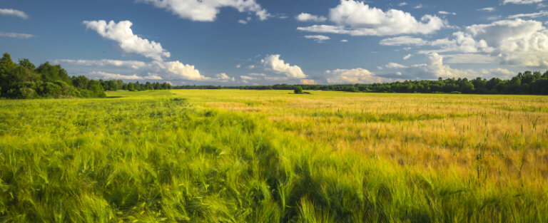 Реклама під час війни