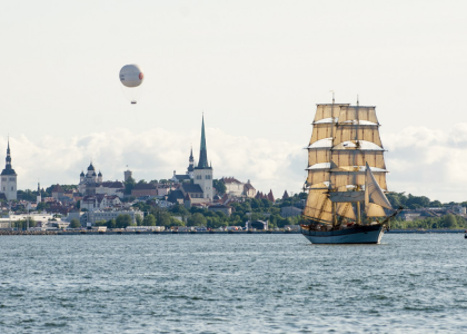 Аналіз конкурентів Organic