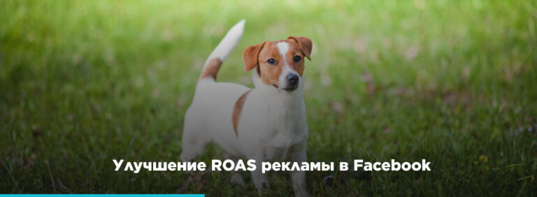 Анна Елисеева - картинка 6