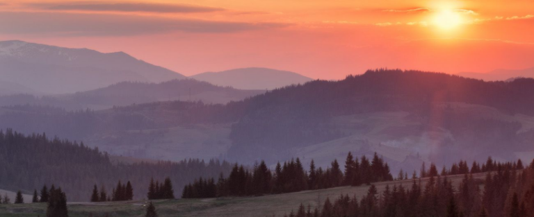 Free marketing tools