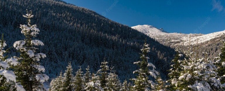 Що таке канонічний тег