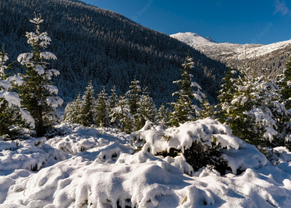 Що таке канонічний тег