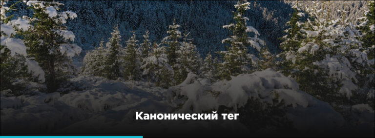 Канонический тег баннер