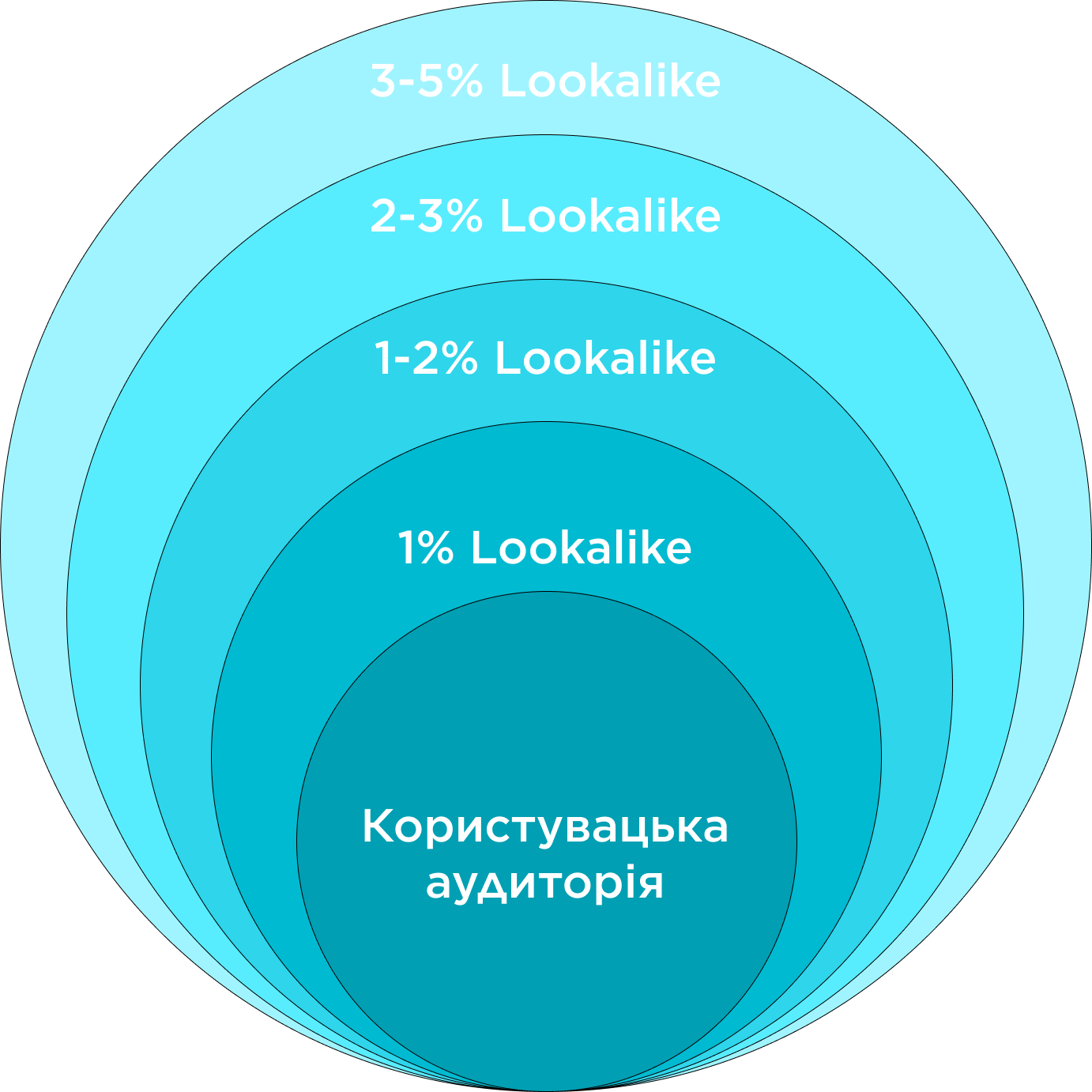 інфографіка lookalike