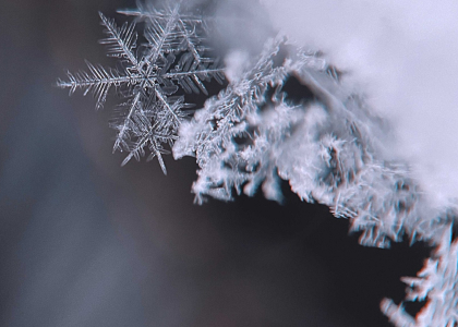 Мікто та макроконверсії