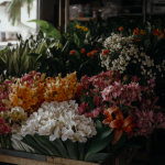 нектар квадрат