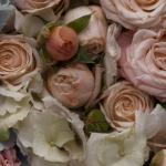 банер квадрат квіти сша